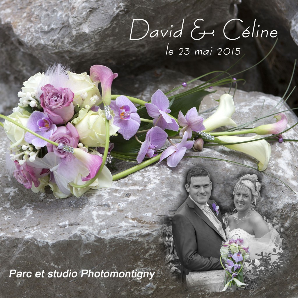 photographe de mariage pas de calais, grossesse, naissance, portrait, shooting, identité